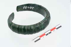 Foto von Bronzearmeif (NHMW-PRAE-026498)